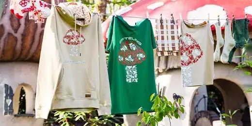 Efteling: 21 New Mushroom Souvenirs – From Stationery to Music Players